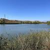 View of Barbara's Lake.