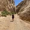 Hiking Capitol Gorge