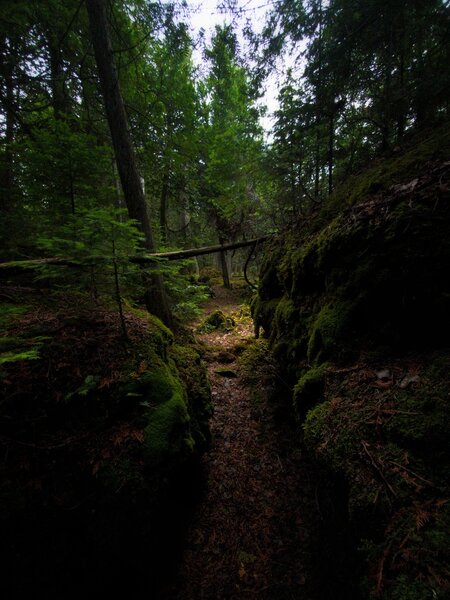 Part of Narnia Trail - a pathway between two large mossy rocks.