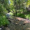 Bell Marsh Creek at the trail junction.