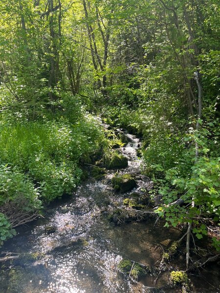 A nice cascade along the Bell Marsh Creek trail.