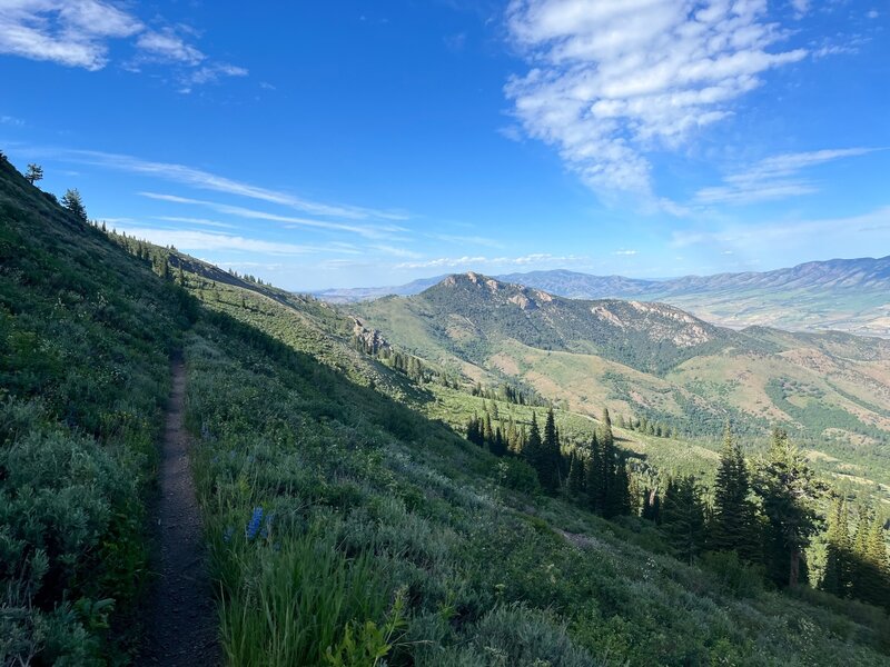 One of the many amazing views from the Crestline Trail.