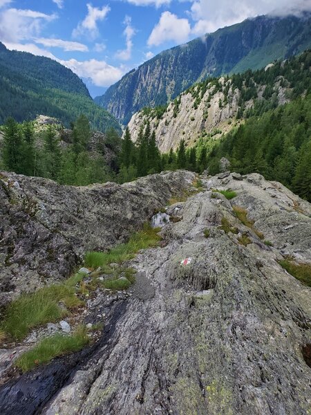 Red and white paint mark the trail along rock domes scraped by the glacier.