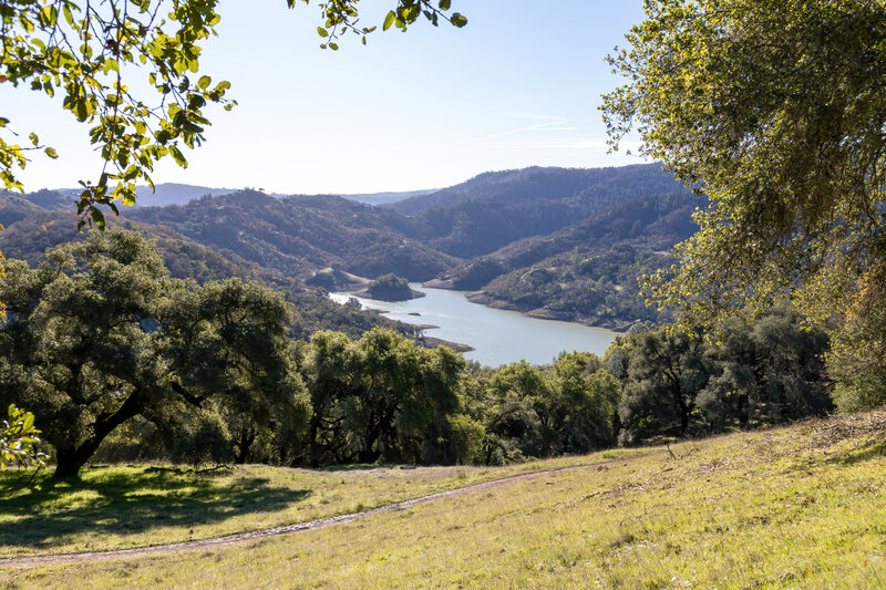 Lake Sonoma from Crowley's Lake View Trail