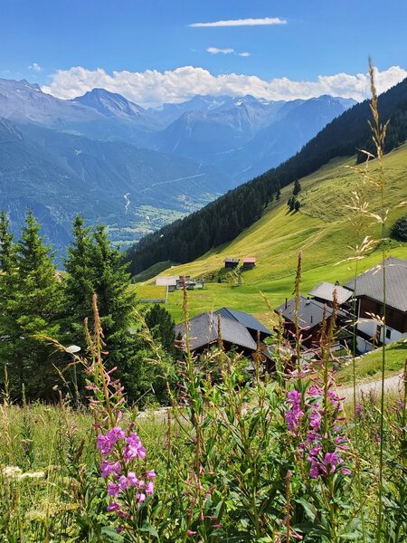 Heading down to Reideralp