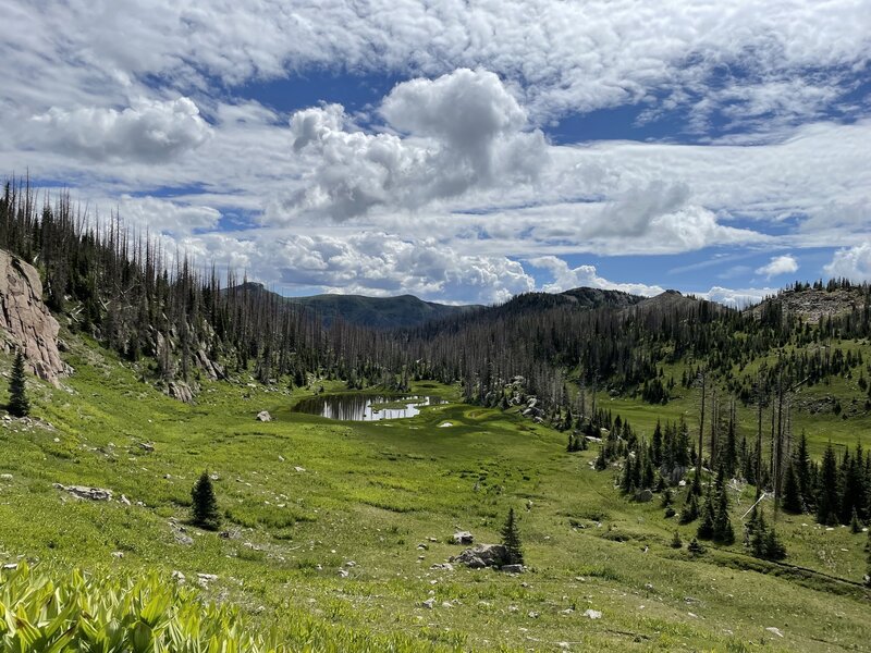 Basin on Turkey Creek side of saddle.