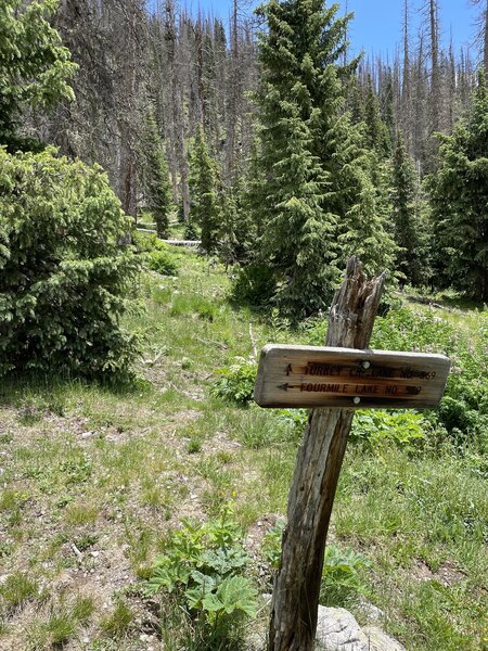 Trail intersection - trail to Turkey Creek Lake is little used and  not really visible.