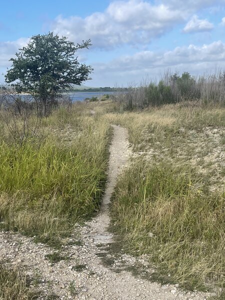 Trailhead for Lakeview Trail.