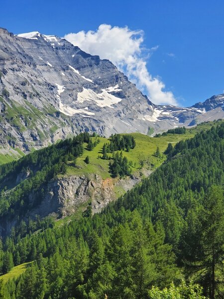 Looking up-valley from the climb up.