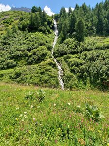 Pretty waterfall coming from a bench next to the trail.