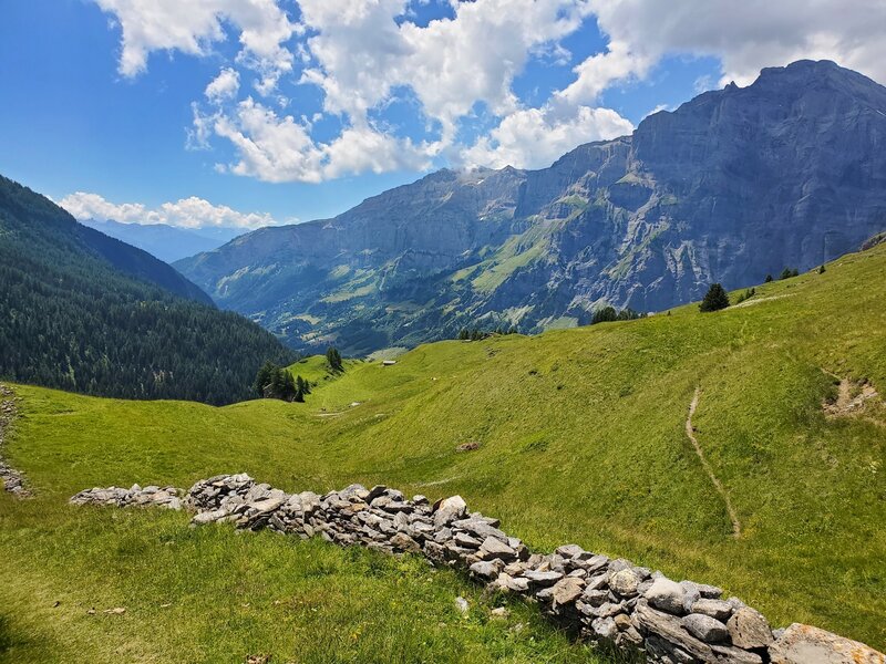 Extensive rock walls built in this area.