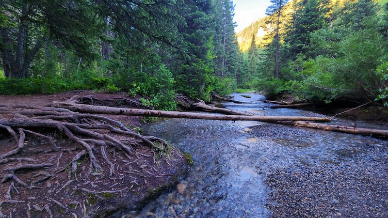 View from the trail.