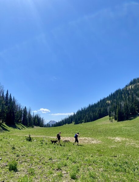 Looking back towards Beaver Creek