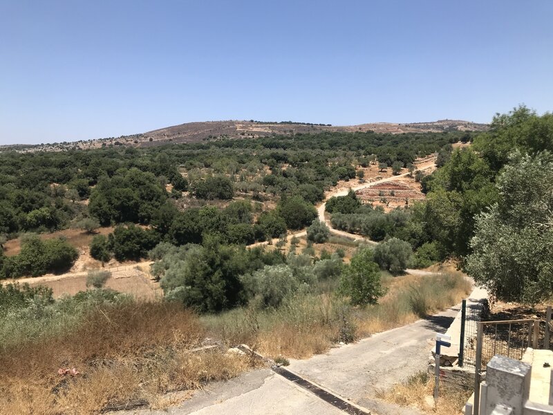 View from the trail