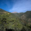 Pikes Peak and the Manitou Incline seen from Red Mountain