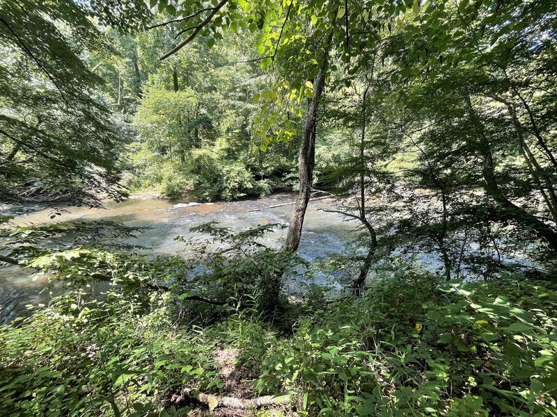 View of Big Creek from the VC12-VC13 trail on a hot summer day.