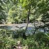 View of Big Creek from the VC12-VC13 trail on a hot summer day.