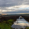 Reflections in the main canal through Tolay Lake