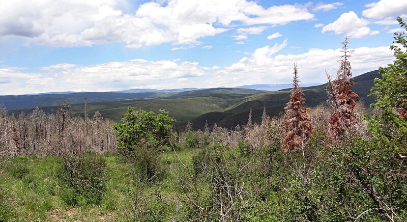 View from near Basalt Mountain Road from Mill Creek Trail.