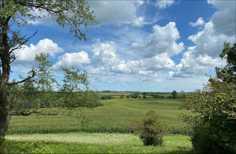 View from Charles Mound.