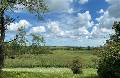 View from Charles Mound.