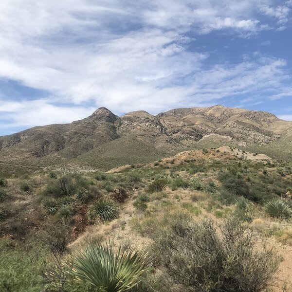 View of the Franklins on approach to Spring View Spur