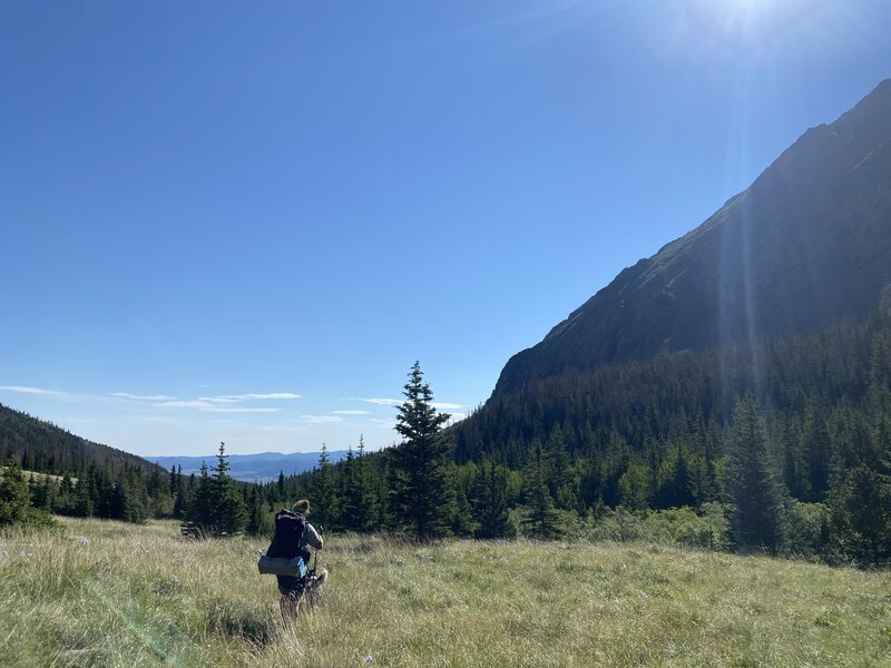 Looking down valley in one of two large meadows.