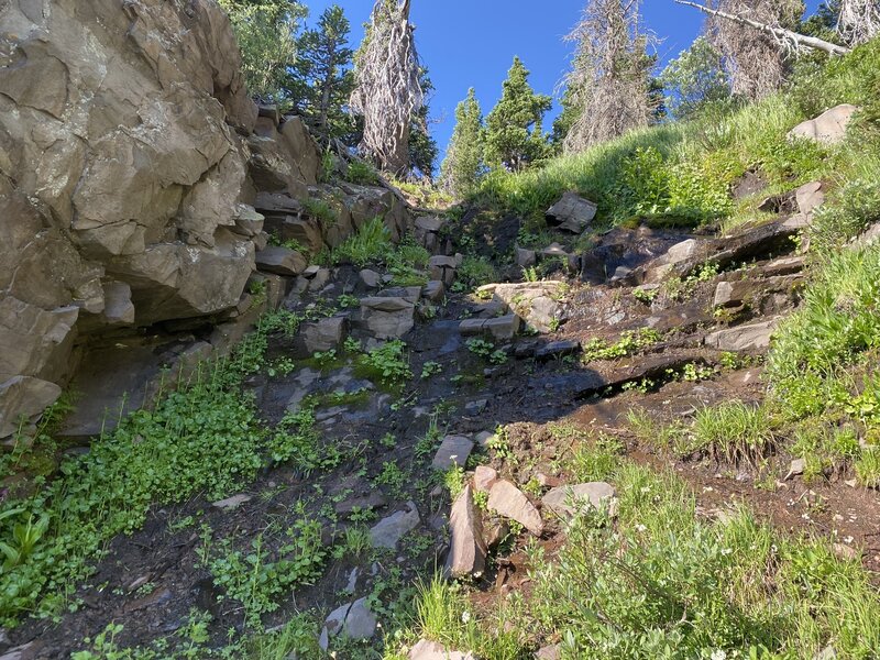 Slightly technical portion with slippery spring. Many times in this hike, you'll encounter difficult trail finding spots to attain ridges of rock faces.