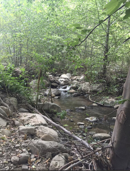 Trail to get to the waterfall.