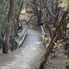 Small bridge on Sidewinder trail.