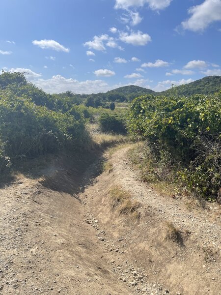 Twin Peaks trailhead.