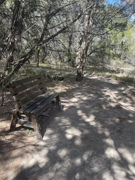 Bench on Twin Peaks trail.