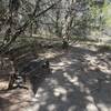 Bench on Twin Peaks trail.