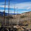 Trail hikes through Hayman Fire burn scar.