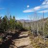 ATV Trail edges Hayman Fire Burn Scar.