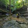 Walk up the creek to get access to the waterfall.