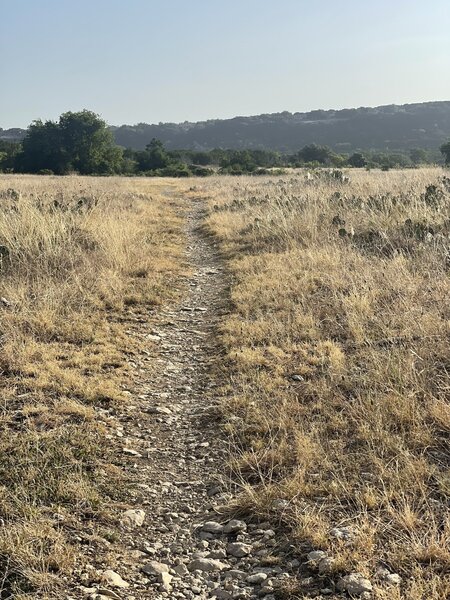 Grassy section of Twister trail.