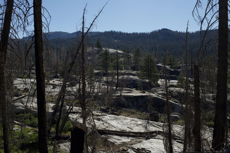 The trail descends through a forest of polished granite and burned dead trees as it approaches Yosemite Creek.