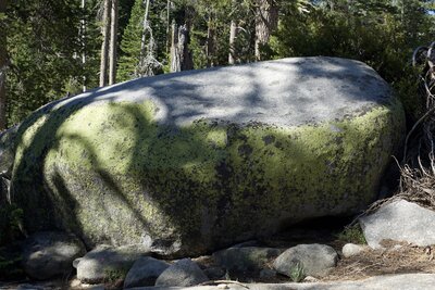 Lichen and moss cover part of a boulder, possibly a glacial erratic, sitting beside the trail.