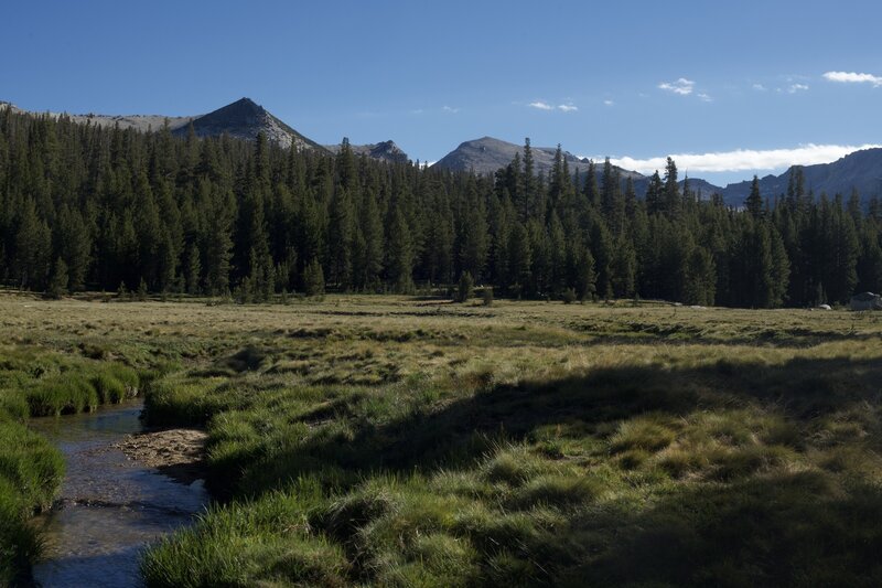 The trail crosses a meadow where views of the mountains of the Eastern Sierras come into view.  You have to rock hop this little creek to continue on the trail.