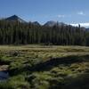 The trail crosses a meadow where views of the mountains of the Eastern Sierras come into view.  You have to rock hop this little creek to continue on the trail.