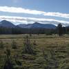 Views of Mount Dana and Mount Gibbs can be enjoyed from the meadow.
