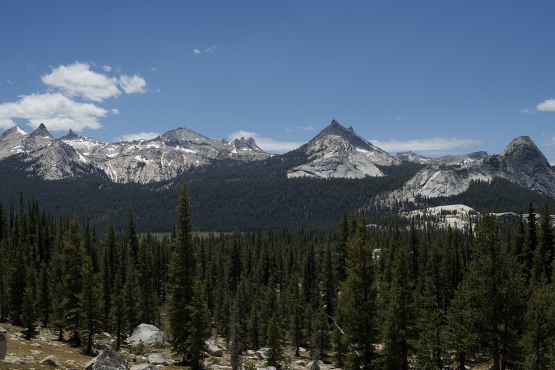 The trail emerges from the forest and you get a great view of the Cathedral Range.  Unicorn Peak, Cockscomb Peak,  Echo Peaks, Cathedral Peak, Fairview Dome, and Medlicott Dome spread out before you.