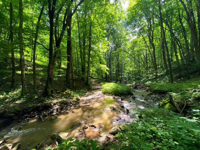 Creek crossing on the trail.