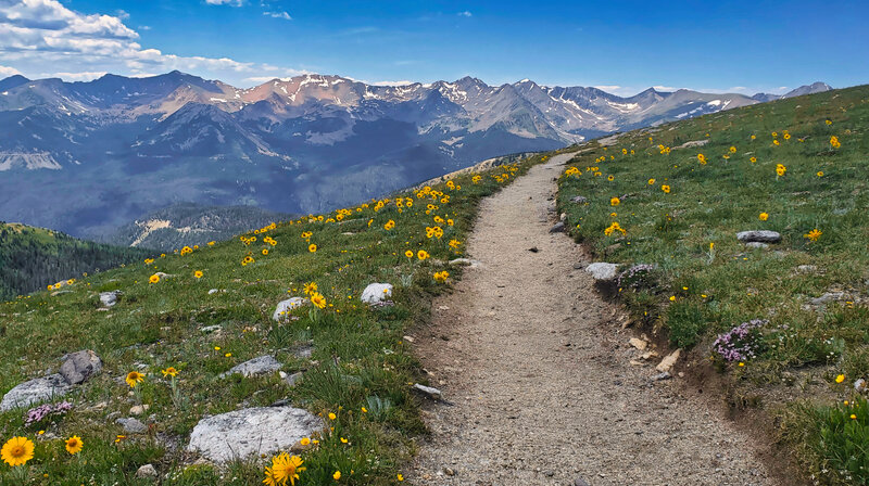 Mt Ida trail, Rocky Mountain National Park