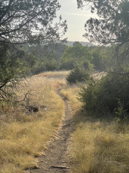 Through the trees trail.