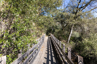 One of the bridges on East Independence Trail.