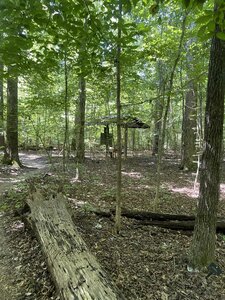 A second shelter on the White Trail.