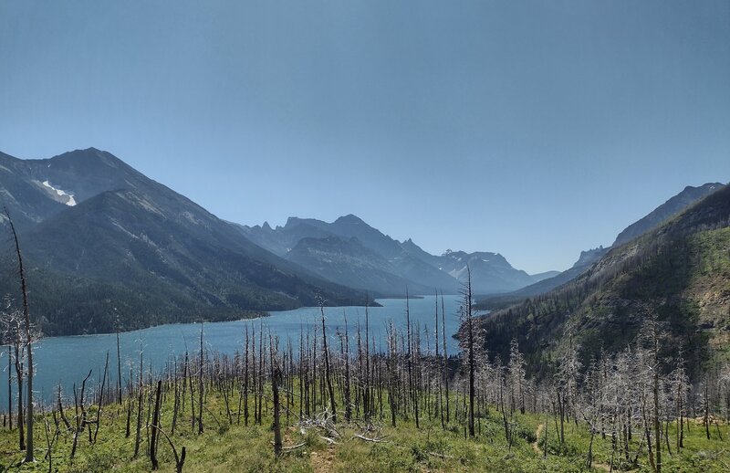 Upper Waterton Lake, looking south from near the start of Lakeshore Trail. Lots of new green growth in the recovering 2017 Kenow Fire burn area.