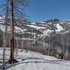 Cameron Lake is below the Carthew Alderson Traverse trail on a clear, late June morning, of a high snow pack year.